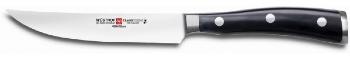 COUTEAU DE CUISINE WUSTHOF CLASSIC IKON A STEAK