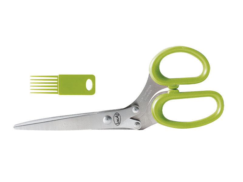 Ciseaux cisachoir Locau 21,5 cm inox + peigne